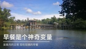 新春灯会,即将“花式”点亮!